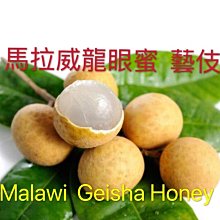 ((新貨到 眼鏡族福音)) 1副裝 透氣防滑無壓痕橢圓型中空鼻墊 歷史價格詳細信息