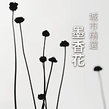咖啡豆(深焙)２２５ｇ【MUJI 無印良品】 歷史價格詳細信息