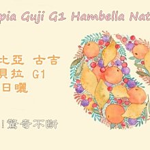 【新篇章咖啡】新鮮現烘 衣索比亞 耶加雪菲 蓋德杯 雪雪莉 一磅 (225g x2包) 歷史價格詳細信息