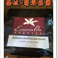 咖啡生豆 - 巴拿馬 阿波羅 太陽神《500g》 歷史價格詳細信息