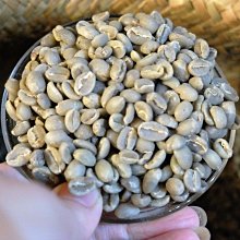 YEMEN A.R.（葉門紙幣），P36a，1000-RIAL，2009，品相全新UNC 歷史價格詳細信息