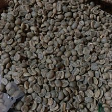 南美龐老爹咖啡 Guatemala 瓜地馬拉 安提瓜 Antigua 高山火山豆 酸甜適中 略帶煙勳味 咖啡生豆 1公斤 歷史價格詳細信息