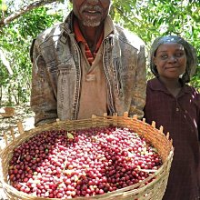 [咖啡543]團購 咖啡豆/粉 每磅198 [檢驗合格] 巴西/摩卡/特調 冰咖啡/經典/北義綜合 歷史價格詳細信息