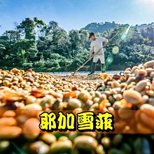 耶加雪菲 蓋德杯 雪雪莉 日曬 (生豆)1kg 歷史價格詳細信息