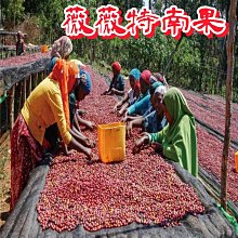 薇薇特南果SHB 濾掛咖啡 咖啡豆 咖啡粉 瓜地馬拉咖啡 耳掛咖啡 微微特南果單品咖啡 露營咖啡包【現貨】 歷史價格詳細信息