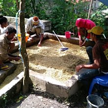 《新篇章咖啡》咖啡豆｜新鮮現烘 哥倫比亞 皮塔利托 薇拉 粉波旁 (225g x2包) 歷史價格詳細信息