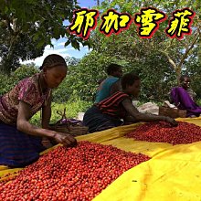 耶加雪菲 蓋德杯 雪雪莉 日曬 (生豆)1kg 歷史價格詳細信息