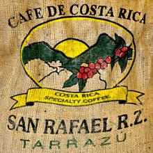 San Rafael -9780395606452 歷史價格詳細信息