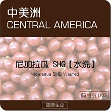 配豆首選【城市咖啡】印度 羅布斯塔 精選豆 咖啡豆 咖啡粉 中深烘焙 中深焙  225g 歷史價格詳細信息