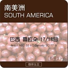 配豆首選【城市咖啡】印度 羅布斯塔 精選豆 咖啡豆 咖啡粉 中深烘焙 中深焙  225g 歷史價格詳細信息