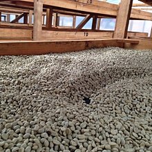 南美龐老爹咖啡 Guatemala 瓜地馬拉 安提瓜 Antigua 高山火山豆 酸甜適中 略帶煙勳味 咖啡生豆 1公斤 歷史價格詳細信息