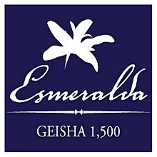 咖啡生豆 - 巴拿馬 阿波羅 太陽神《500g》 歷史價格詳細信息