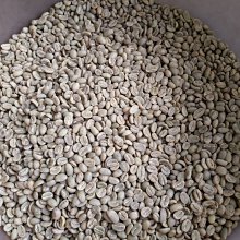 【貝谷 BS9521輻射防護用X/&gamma;劑量當量率儀/核輻射檢測儀BG9521 歷史價格詳細信息