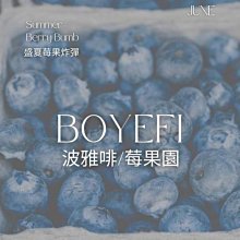 衣索比亞 日曬 草莓滋露 SOE 中淺焙 水果調 精品咖啡推薦 接單現烘(半磅227g/袋) 歷史價格詳細信息