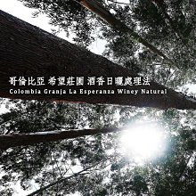 虹吸式咖啡壺-三人份 (TCA-3H) 歷史價格詳細信息