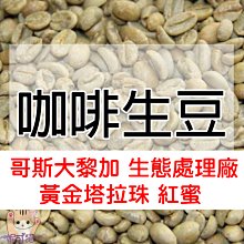 金斯大 Jeansda Thunderbird Storm Clouds Antique Jeans W28 雷雲 雷鳥 歷史價格詳細信息