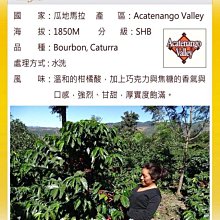 （買3送3）免手刷馬桶定量芳香清潔劑x3（加贈 日本熱銷活氧馬桶強力清潔劑x3） 歷史價格詳細信息