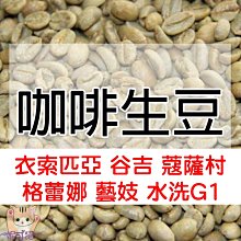 1kg生豆 瓜地馬拉 SHB 法漢妮斯 郊狼處理廠 歐規特選 水洗 - 世界咖啡生豆 精品豆 咖啡豆 生咖啡豆 生豆莊園 歷史價格詳細信息