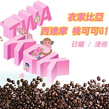 【日本CAFEC】淺焙/中焙/深焙專用濾紙100張-多款《拾光玻璃》專利 咖啡濾紙 咖啡粉 環保 專業 日本製 歷史價格詳細信息