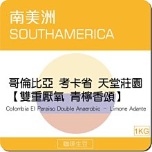 哥倫比亞天堂莊園雙重厭氧艷夏花荔咖啡豆 半磅 歷史價格詳細信息