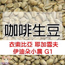 咖啡生豆 - 衣索比亞 耶加雪夫 野百合 厭氧日曬 G1《500g》 歷史價格詳細信息