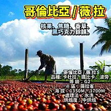 哥倫比亞 薇拉省 特殊品種-奇洛索 水洗 淺焙 半磅 咖啡豆 熟豆 vvcafe 學長 歷史價格詳細信息