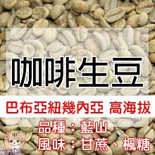 1kg生豆 瓜地馬拉 SHB 法漢妮斯 郊狼處理廠 歐規特選 水洗 - 世界咖啡生豆 精品豆 咖啡豆 生咖啡豆 生豆莊園 歷史價格詳細信息