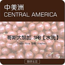 莉普森【咖啡生豆】2024新產季■衣索比亞 水洗 西達摩 檸檬花蜜/莫莉雅 G1 歷史價格詳細信息