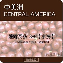 配豆首選【城市咖啡】印度 羅布斯塔 精選豆 咖啡豆 咖啡粉 中深烘焙 中深焙  225g 歷史價格詳細信息