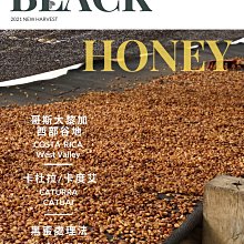 卡杜斯雨棍仙人掌雨棒瑜伽南美智利海浪擬聲音療樂器雨聲器雨聲筒 歷史價格詳細信息