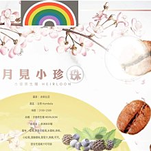 咖啡生豆 - 衣索比亞 古吉 夏奇索 木里 G1 水洗《500g》 歷史價格詳細信息