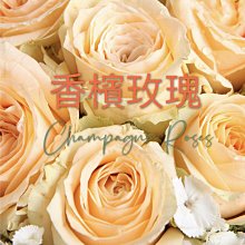 咖啡生豆 - 衣索比亞 古吉 夏奇索 木里 G1 水洗《500g》 歷史價格詳細信息