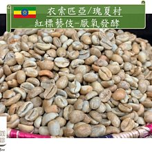 最新到港 Holistic Hair植感Sensitive 蘋果醋橙花薰草洗髮精 潤髮素 500ml 家庭號 歷史價格詳細信息