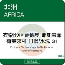 咖啡生豆 - 衣索比亞 耶加雪夫 野百合 厭氧日曬 G1《500g》 歷史價格詳細信息