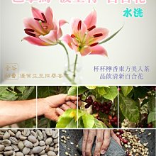 咖啡生豆 - 巴拿馬 阿波羅 太陽神《500g》 歷史價格詳細信息