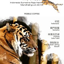 寧波重啟帶胸墊工字背心萊卡瑜伽文胸跑步高強度防震鏤空運動內衣 歷史價格詳細信息