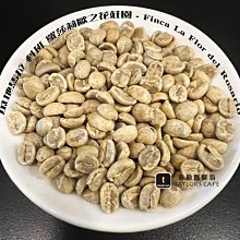 【TDTC 咖啡館】精選單品咖啡豆 –瓜地馬拉 科班 羅莎莉歐之花莊園 / 水洗 (半磅) 價格比較,價格查詢,歷史價格詳細信息