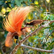 巴伐利亞莊園 裝田園風德國 慕尼黑啤 節演出 高檔餐廳工作BY828 歷史價格詳細信息