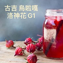 亞仕咖啡生豆肯亞-麒麟雅嘉產區凱莉圓豆水洗每公斤450元 歷史價格詳細信息