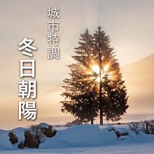 附發票【城市咖啡】瓜地馬拉 微薇特南果 精選豆 咖啡豆 咖啡粉 中深烘焙 中深焙  225g 歷史價格詳細信息