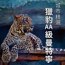 《印刻》獵殺第四行者(全1冊) 彼達咯斯.洛里【頭大大-奇幻小說】甲05◎BC8 歷史價格詳細信息
