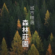 精選中烘焙濾袋咖啡隨身包10入  【大潤發】 歷史價格詳細信息