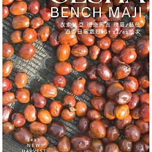 批量處理評級鄰國花錢，明命通寶利用厚生花錢，品相一流極美884737 歷史價格詳細信息