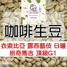 [生豆訂閱制]一起烘咖啡 阿拉比卡單品咖啡生豆1公斤(12個月)送Hiles氣旋式熱風家用烘豆機VER2.0 歷史價格詳細信息