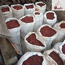 Follow Me, Flo!【禮筑外文書店】(精裝)[79折] 歷史價格詳細信息