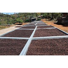【大成】咖哩/蜜汁去骨雞腿排50包組｜每包190g｜大成食品(雞腿排 雞排 家常菜) 歷史價格詳細信息