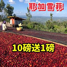(10磅) BBUY 美國 HALO 嘿囉 無穀 狗飼料 10LB 狗糧 低穀 幼犬 成犬 犬 小型犬 歷史價格詳細信息