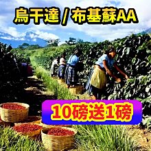 (10磅) BBUY 美國 HALO 嘿囉 無穀 狗飼料 10LB 狗糧 低穀 幼犬 成犬 犬 小型犬 歷史價格詳細信息