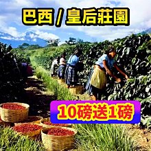(10磅) BBUY 美國 HALO 嘿囉 無穀 狗飼料 10LB 狗糧 低穀 幼犬 成犬 犬 小型犬 歷史價格詳細信息
