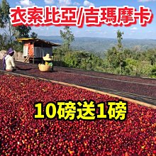 (10磅) BBUY 美國 HALO 嘿囉 無穀 狗飼料 10LB 狗糧 低穀 幼犬 成犬 犬 小型犬 歷史價格詳細信息